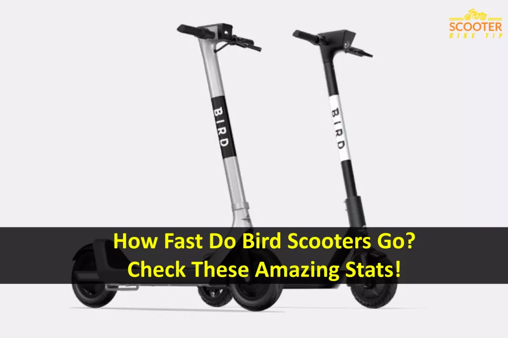 how fast bird scooters go